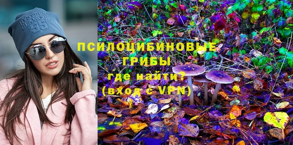 героин Дмитриев