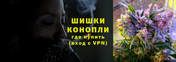 твердый Дмитровск