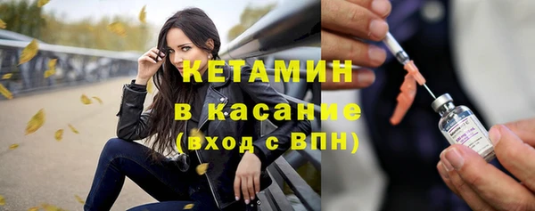 твердый Дмитровск