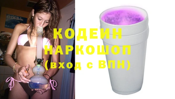 твердый Дмитровск