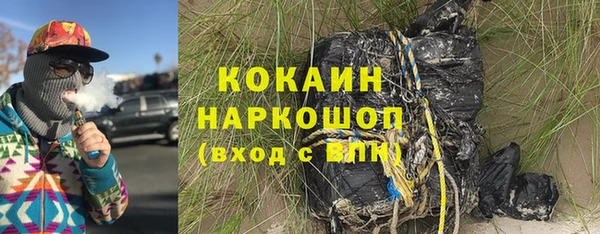 твердый Дмитровск