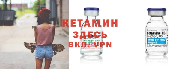 твердый Дмитровск