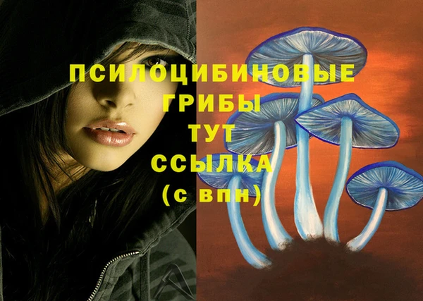 героин Дмитриев