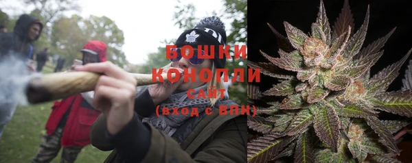 твердый Дмитровск