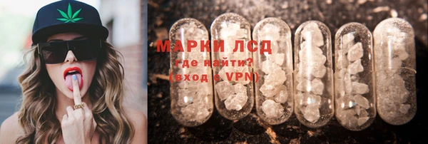 твердый Дмитровск